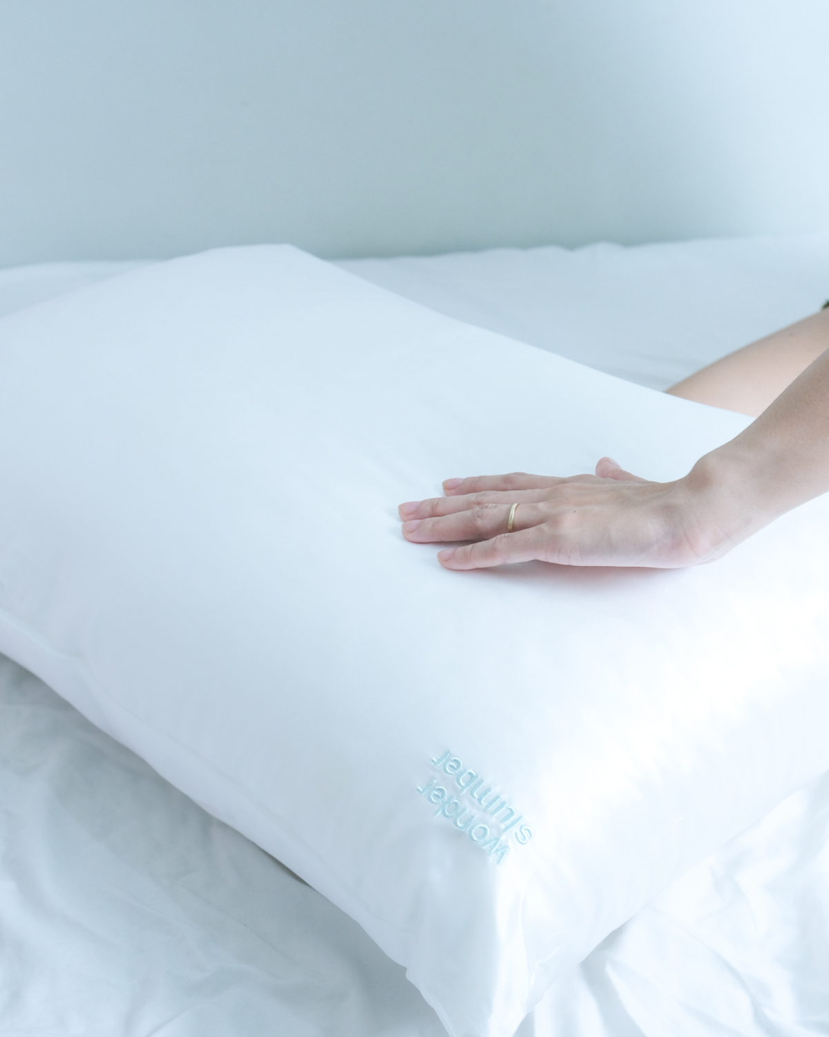 100% Pure Mulberry Silk Pillowcase (White, Queen)