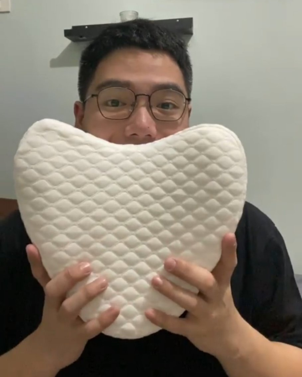 Wonder Leg Pillow