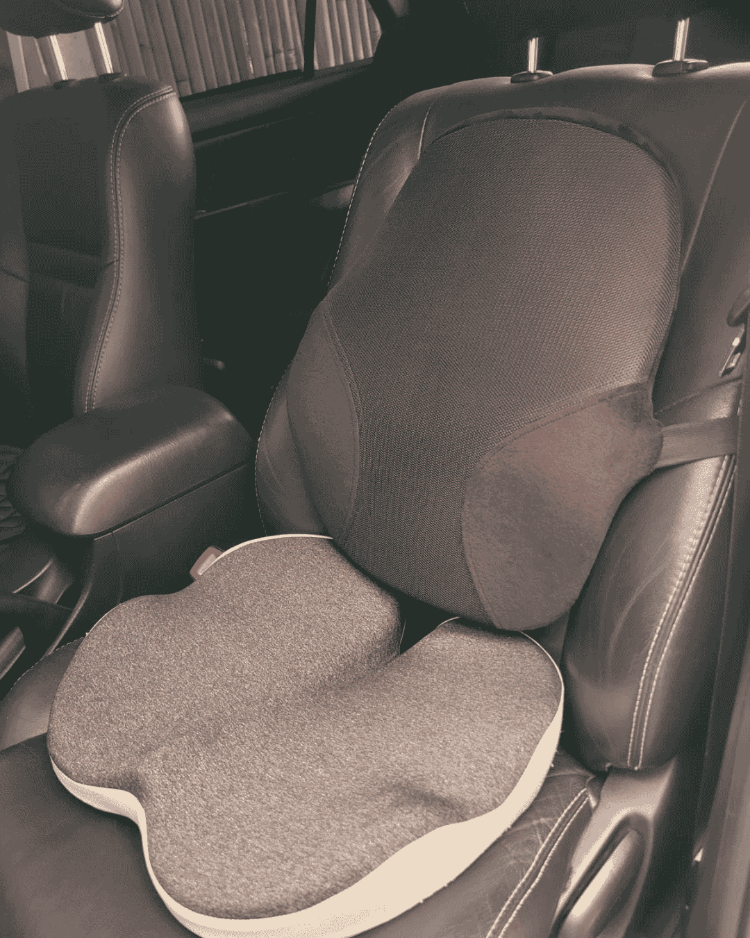 Seat & Back Cushion Duo