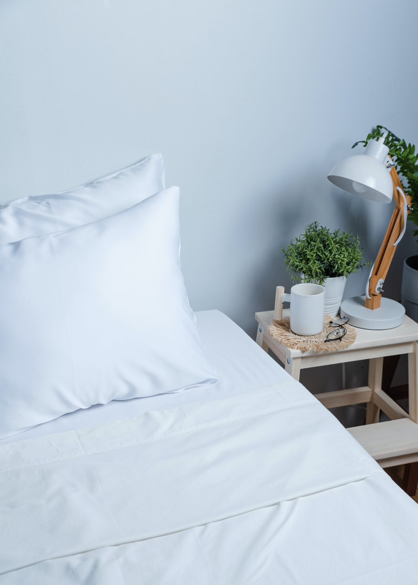 Premium Bamboo Pillowcase (2 Piece Set)