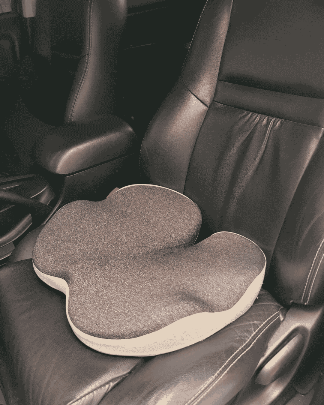 Wonder Seat Cushion