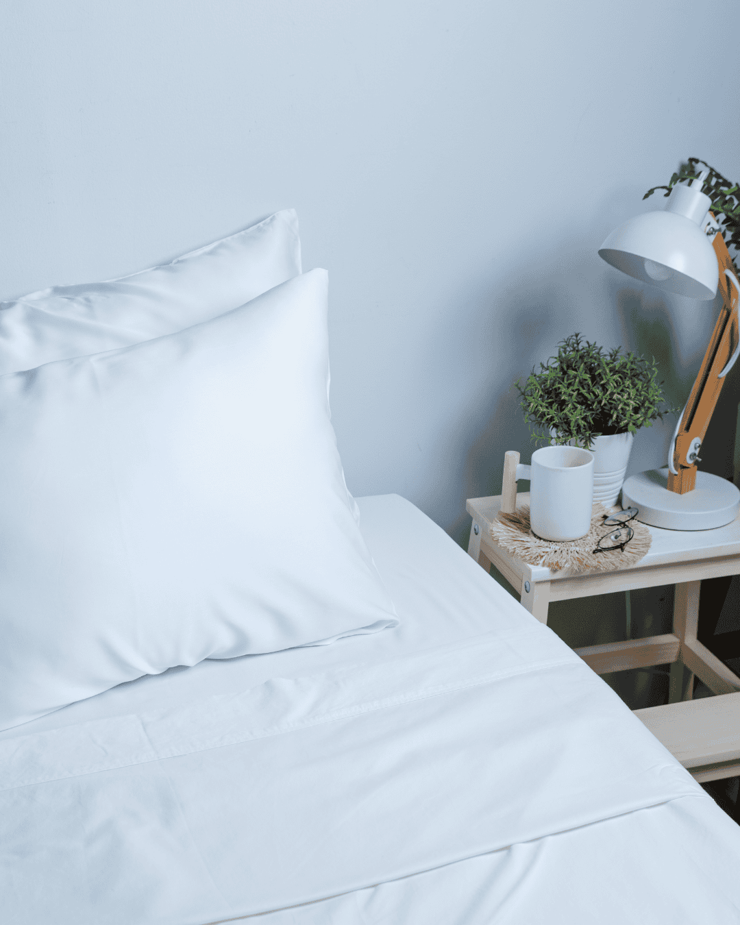 Premium Bamboo Pillowcase (2 Piece Set)