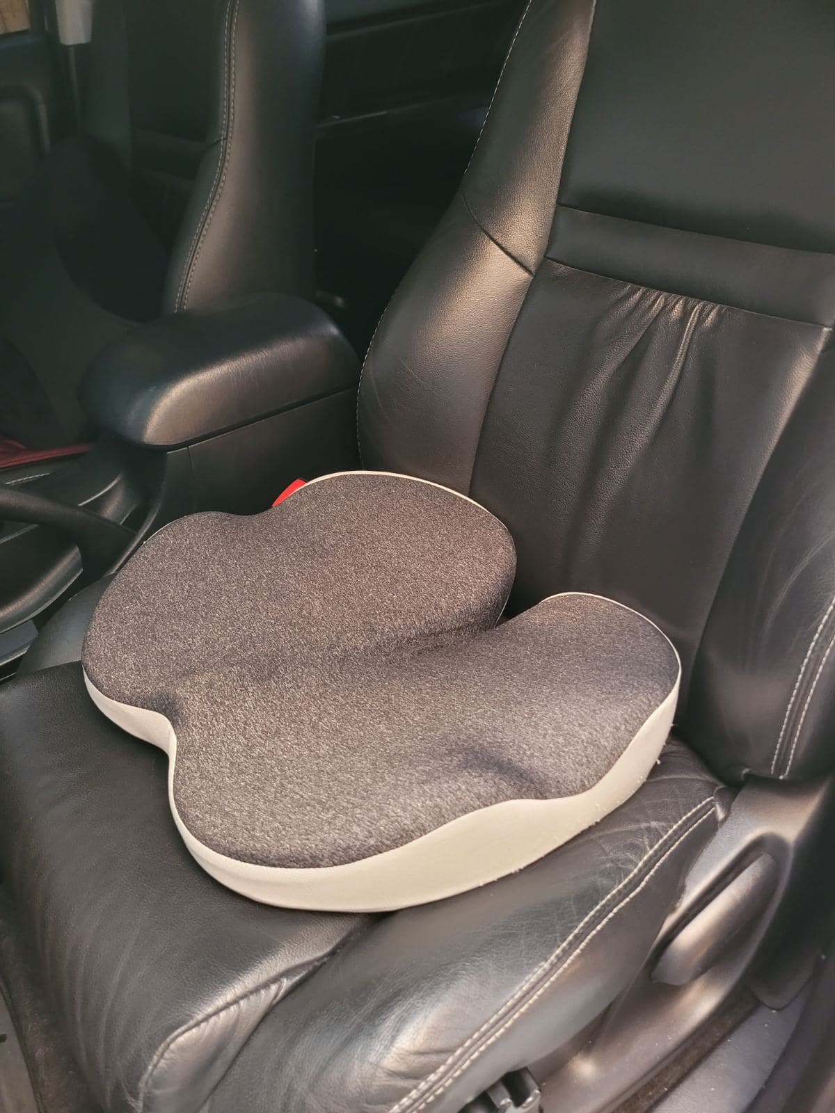 Wonder Seat Cushion