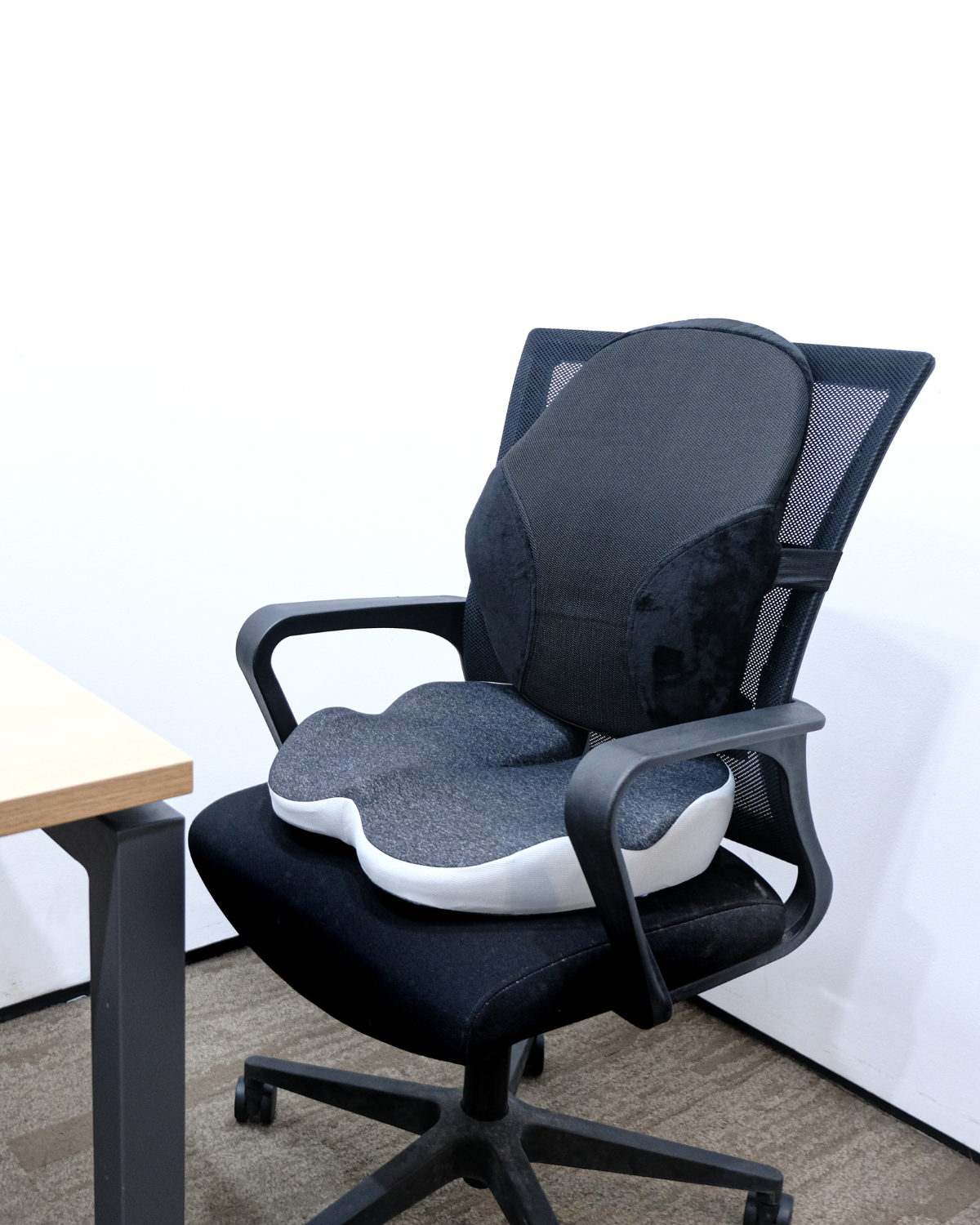 Seat & Back Cushion Duo