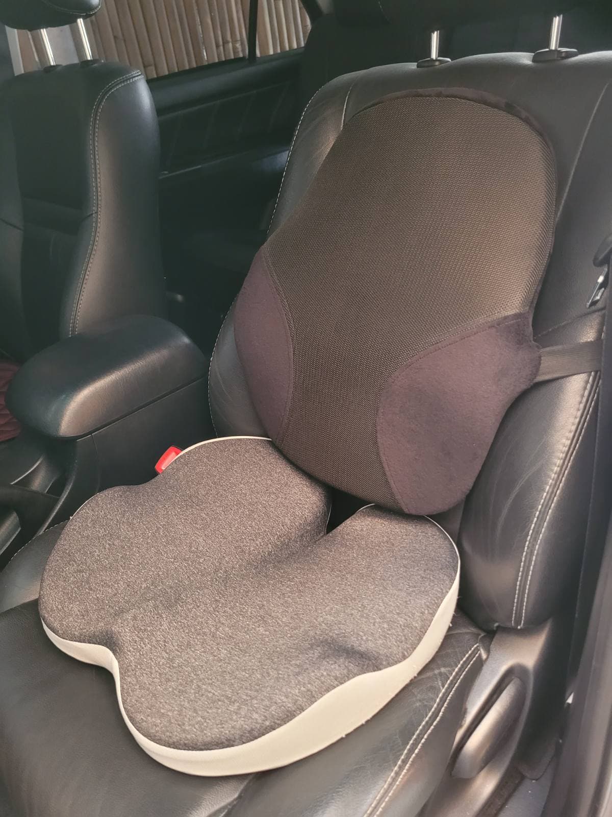 Seat & Back Cushion Duo